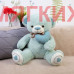 Мягкая игрушка Медведь DL205005315GN
